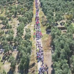 7^ edizione della Camminata tra gli Olivi