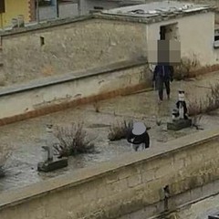 carcere modificata