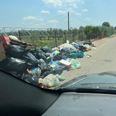 cumuli di rifiuti in contrada Lama di Carro