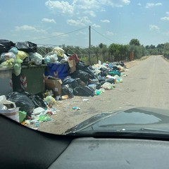 cumuli di rifiuti in contrada Lama di Carro