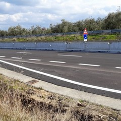 Allargamento provinciale Andria Canosa: lavori fermi da 3 settimane