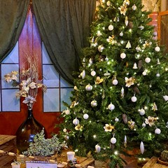 aria di Natale nel primo vicolo Casalino