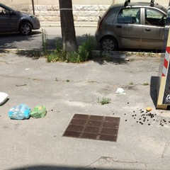 Abbandono di rifiuti ad Andria
