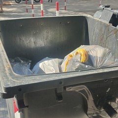 cassonetto raccolta rifiuti
