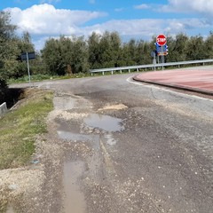 Allargamento provinciale Andria Canosa: lavori fermi da 3 settimane