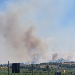 Vasto incendio a Castel del Monte