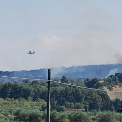 Vasto incendio a Castel del Monte