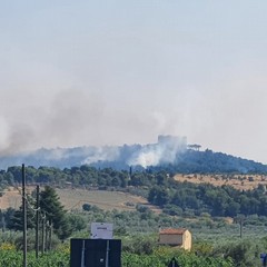 Vasto incendio a Castel del Monte