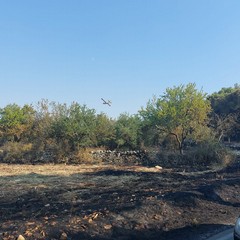 Vasto incendio a Castel del Monte