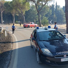 Vasto incendio a Castel del Monte