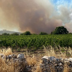 incendio a Castel del Monte