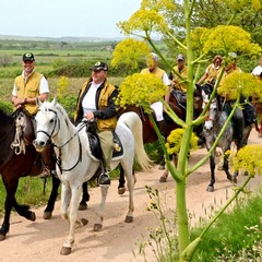 Da Castel del Monte, a cavallo per i parchi