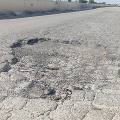 provinciale 2 Andria Canosa di Puglia