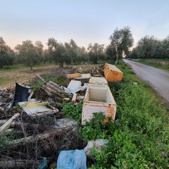 rifiuti abbandonati nelle campagne di Andria