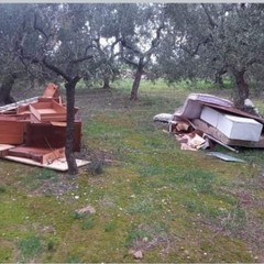 rifiuti abbandonati nelle campagne di Andria