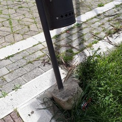Cestino Parco Europa