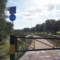 ciclovia aqp