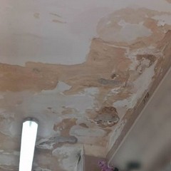 Cadono calcinacci dal soffitto di una cappella cimiteriale di Andria