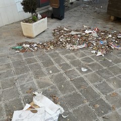 Cittadino Spazzino Quartiee Europa
