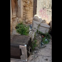 Cleanup di Place