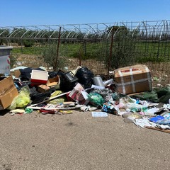 Mancata raccolta rifiuti in contrada Lama di Carro