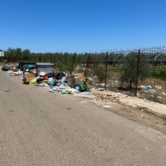 Mancata raccolta rifiuti in contrada Lama di Carro