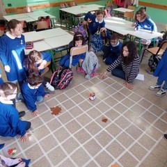 Coding scuola primaria Cotugno