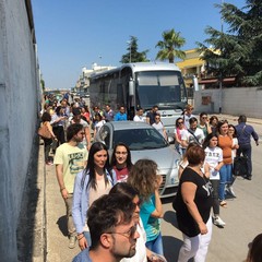 Comitato lavoratori adn