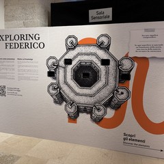 Exploring Federico – Natale 2025