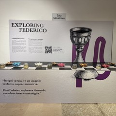 Exploring Federico – Natale 2025