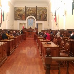 conferenza stampa Natale insieme