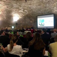 Congresso Regionale ACOI, il dott. Sabino Capuzzolo vince il contest per i medici under 40