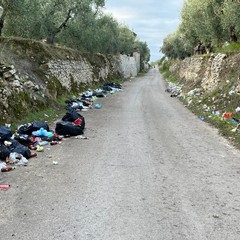 Abbandono di rifiuti ad Andria