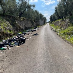 Abbandono di rifiuti ad Andria