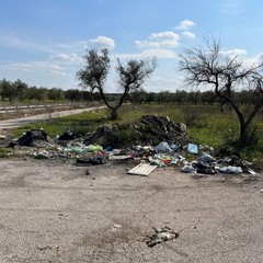Abbandono di rifiuti ad Andria