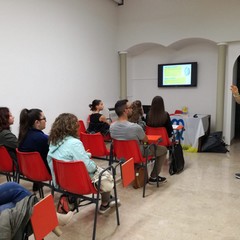 corso di primo soccorso misericordia di andria