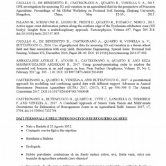 curriculum rquarto candidato M S