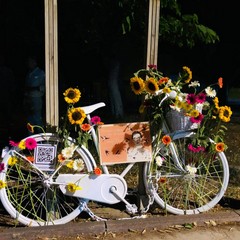 la bici dedicata a Patrizia Paradiso a cui hanno rubato la sella