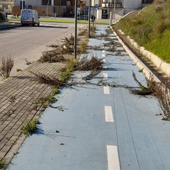 via Bisceglie-stazione di Andria Sud
