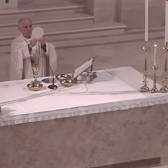 Santa Messa ad Andria per la festa della Madonna di Palestina