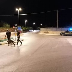 controlli della Guardia di Finanza