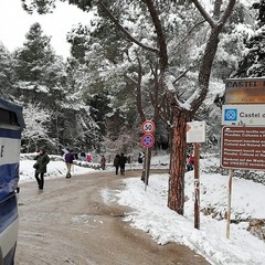 abbondante nevicata nella notte nella zona della Murgia andriese