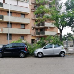Piogge e temporali: tromba d'aria e strade allagate ad Andria