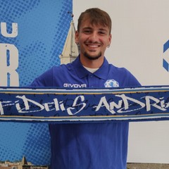 daniele mariani