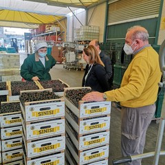 Lo sviluppo economico con la presa diretta delle realtà imprenditoriali di Andria