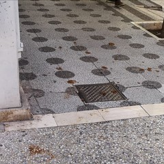 Andria, degrado per le vie cittadine