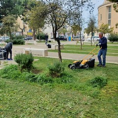 pulizia di piazza SS. Trinità