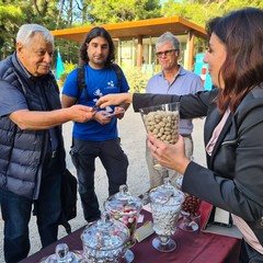 Degustazione Andria confetti Mucci