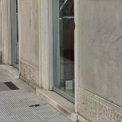 Cani con padroni incivili: da via Regina Margherita proteste per richiamare all’educazione