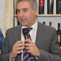 di gioia al vinitaly